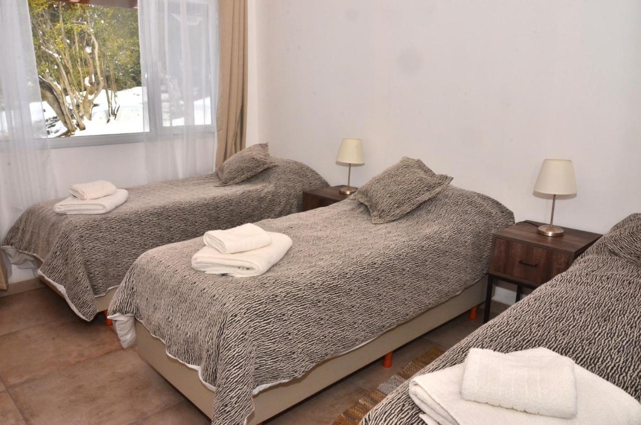 Cabanas Agua Clara Villa Pehuenia Eksteriør billede